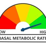 افزایش متابولیسم پایه