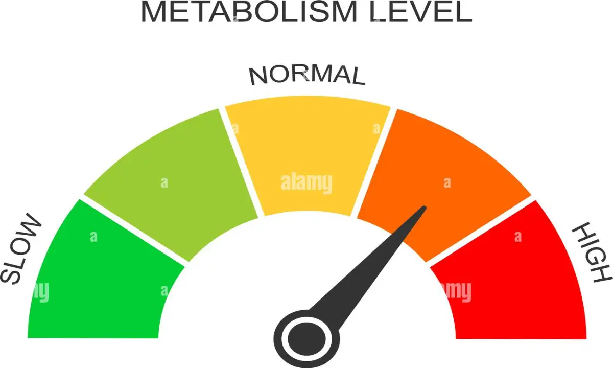 علائم بالا رفتن متابولیسم بدن