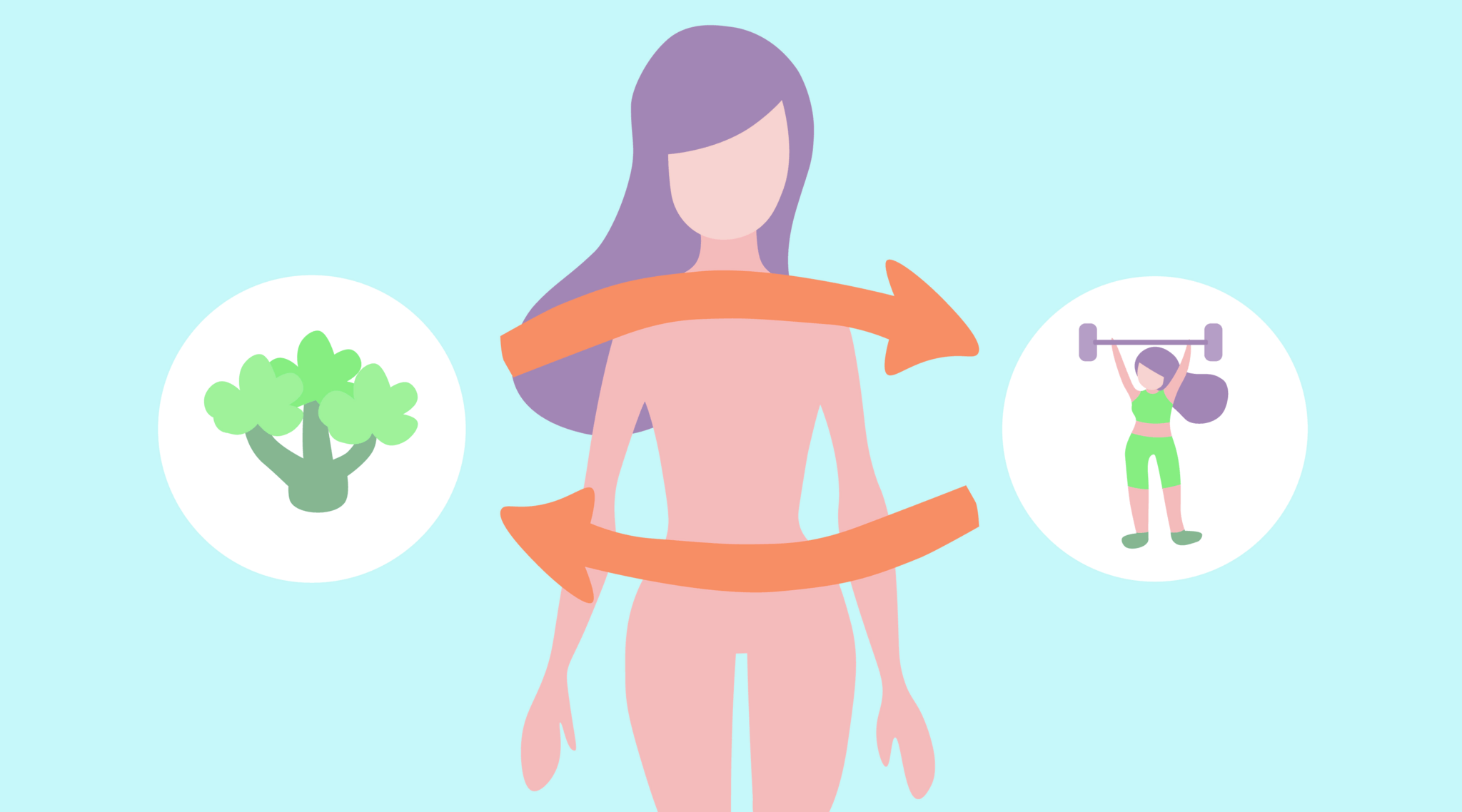 متابولیسم چیست